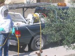 Hank spraying a bee swarm by 99th Ave. & Jomax Rd.